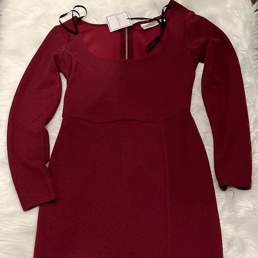 Burgundy Dress